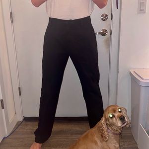 Dress Pants